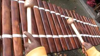 yankadi au balafon mandingue par Livio Camara Centre France [upl. by Alan]