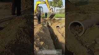 Use An Excavator To Remove Paulownia Tree Root For Digging A ditch And Building Sewer [upl. by Eca694]