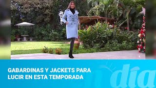 Gabardinas y Jackets para lucir en esta temporada [upl. by Alegre]