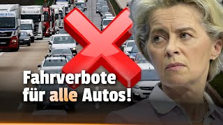 Neue FAHRVERBOTE für ALLE Autos und LKW [upl. by Seilenna]