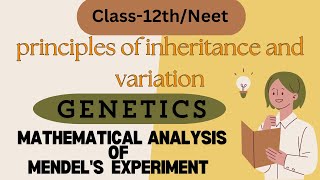 principles of inheritance and variationGenetics Mathematical analysis of Mendels experiment [upl. by Jamey]