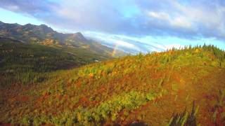 Flightseeing Fall Colors in Alaska by Radio Control Plane [upl. by Yklam506]