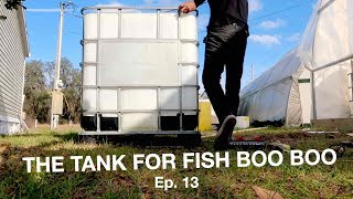 Mineralization Tank For Fish Waste  The Aquaponics God Ep 13 [upl. by Enyamert]