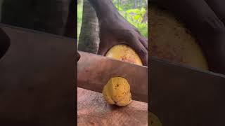 Satisfying Coconut Peeling ASMR to Soothe Your Soul [upl. by Lehcor]