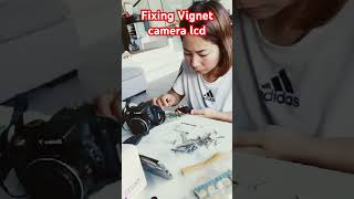 Fixing Vignet camera lcd [upl. by Ninnetta]