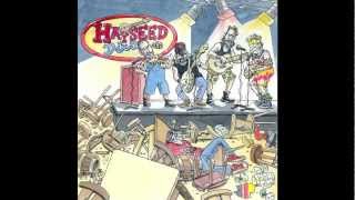 Clandestino  Hayseed Dixie [upl. by Airamesor166]