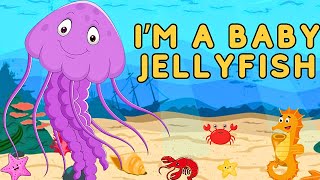 I’m a baby Jellyfish Bedtime Stories for Kids in English  Fairy Tales  THE FISH STORY [upl. by Etnelav251]