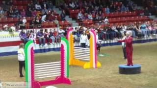 Superdogs at the 2009 Royal Manitoba Winter Fair [upl. by Hooge995]