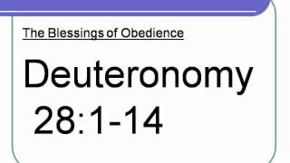 Deuteronomy 28114 [upl. by Yonatan]