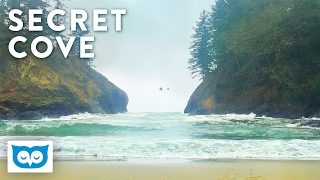 Relaxing Beach Waves  2 Hours Ocean Wave Sounds at Secret Cove [upl. by Adnamar612]