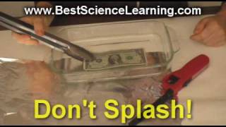 8th grade Science Projects and Homeschool Science Experiments [upl. by Aicenert]