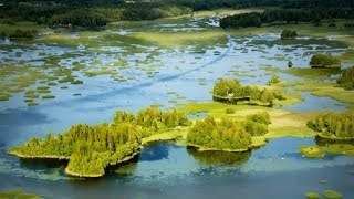 Finnish Kantele amp Finlands nature  Suomen luonto ja Nostatus quotSanan Syntyquot [upl. by Thaddaus151]