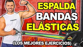 🔴 Los MEJORES Ejercicios BANDAS ELASTICAS  Fortalecer ESPALDA [upl. by Akkire]