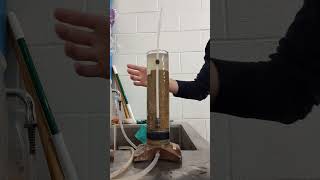 Soil liquefaction demonstration [upl. by Stevy]