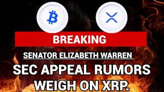 XRP NEWS SEC APPEALS SPECULATION CEO OF RIPPLE RESPONDS TO XRPs SIGNIFICANT MILESTONES [upl. by Diantha]