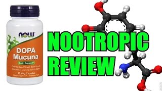 Dopa Mucuna LDopa  Review [upl. by Langille102]