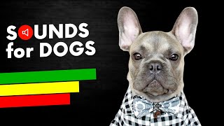 Strange Sounds That Attract Dogs Attention [upl. by Odlanor]