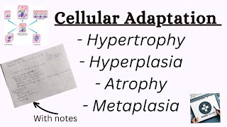 Cellular adaptation pathology [upl. by Nosiddam990]