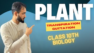 Excretion In Plants  Transpiration  Guttation  Class 10th Biology  Basharat Ali Lectures [upl. by Nesyla]