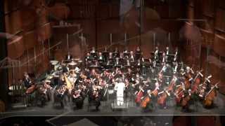 Adagio for Strings  Samuel Barber Theme from quotPlatoonquot [upl. by Hoj]