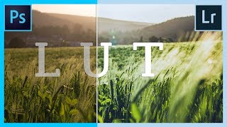 Comment retoucher rapidement ses PHOTOS en utilisant les LUTS [upl. by Leschen]