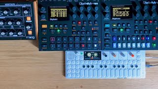 OP1 field  Digitakt Digitone with Song Mode  Moog Minitaur  Melodic House jam [upl. by Brodeur]