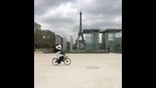 Les pandas de zoobeauval  à vélo dans Paris [upl. by Allicserp]