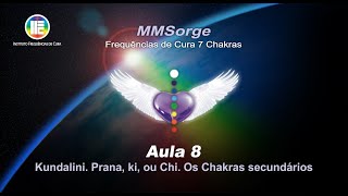 Aula 8  Kundalini Prana ki ou Chi Os Chakras secundários [upl. by Yedarb]