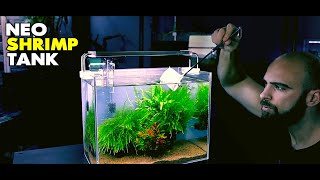 Aquascape Tutorial Neocaridina Shrimp Tank How To Step By Step Planted Aquarium Guide [upl. by Edea917]