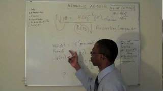 Metabolic acidosis Part 3 [upl. by Carlos63]