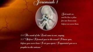 Jeremiah 1 with text  press on more info [upl. by Amoeji]