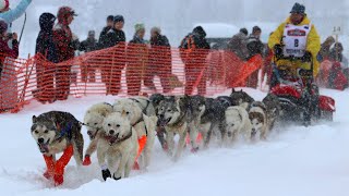 2020 Iditarod Official Start  Willow Alaska [upl. by Pember]