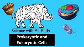 Prokaryotic and Eukaryotic Cells  Biology [upl. by Egag]