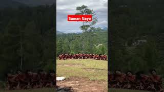 Gerbuk Saman Gayo shortvideo samangayo [upl. by Nanaj]