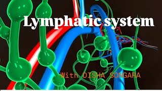 class 11 lymphatic system Drainage system with DISHA SONGARA [upl. by Yenoh]