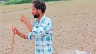 Day5 Challenge Rice Farming 🌾 Sunil Goswami minivolgs youtubeshorts villagev vlog shorts [upl. by Onibag704]