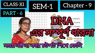 CLASS 11💥 Chapter9📚 part  6✍️about DNA in bangla ঝটপট শিখে নিতে হবে 💯 [upl. by Aihsema]