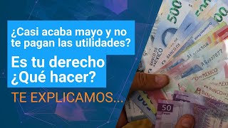 Utilidades 2024 ¿Por qué razón aún no te pagan  Dinero en Imagen [upl. by Charron]