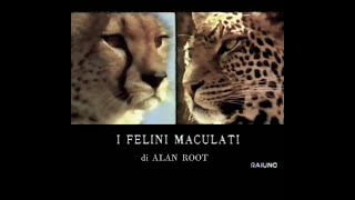 I felini maculati quotleopardo ghepardo servalSerengeti NPReg MaraTanzaniaquot [upl. by Nealon]