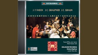 Recorder Concerto in F Major GWV 323 I Allegro [upl. by Rafael423]