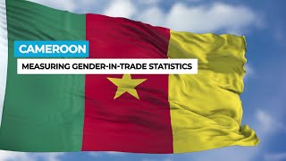 Measuring gender equality in trade statistics in Cameroon [upl. by Ailssa]