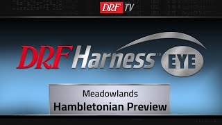 DRF Harness  Hambletonian Preview  August 4th 2018 [upl. by Atteynad447]