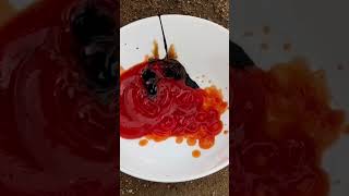 Soybean Capsicum 🫑 rangerscookingshow foodrangers indianfood [upl. by Aistek973]