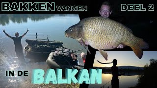 288 KILO KARPER gevangen  Karpervissen in de BALKAN [upl. by Farra]