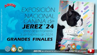 Exposiciones Nacional Canina  Jerez 2024 [upl. by Irodim243]