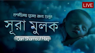 গভীর ঘুমের জন্য শুনুন সূরা আল মূলক খুব সুন্দর তেলাওয়াত। Surah MulkSurah Mulk Bangla Shamsul Haque [upl. by Tse]