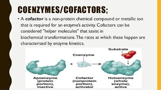 Enzymes  2 Ribozyme Types of enzymes and Trivial naming by JJS Sir for Class 11 NEET KVPY [upl. by Ong]