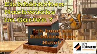 Eichhörnchen Nachwuchs im Garten  Das wäre ein Traum Ich baue ein Eichhörnchen Hotel [upl. by Kiele778]