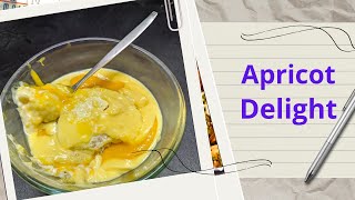 The Spicy Venue Restaurant Style Apricot Delight Recipe  Dessert  Home Made Apricot Delight [upl. by Faun]