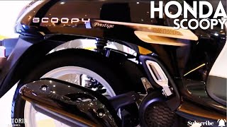 2024 Honda Scoopy First Look at the Cub12 Prestige amp Urban Models  9 Stunning Colors [upl. by Marder891]